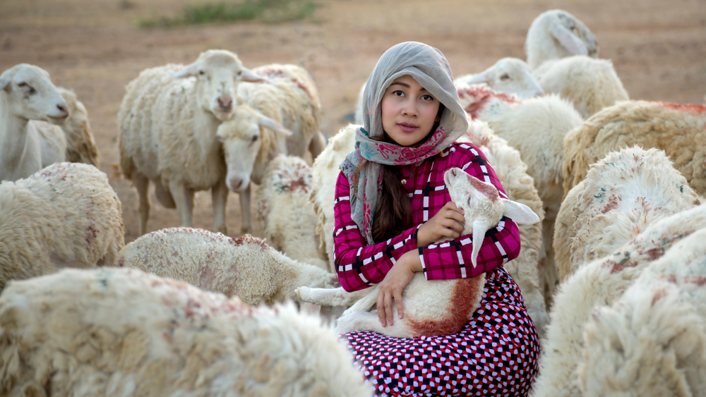 shutterstock_1084294370